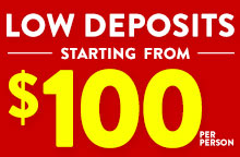 Get a $100 VISA Card