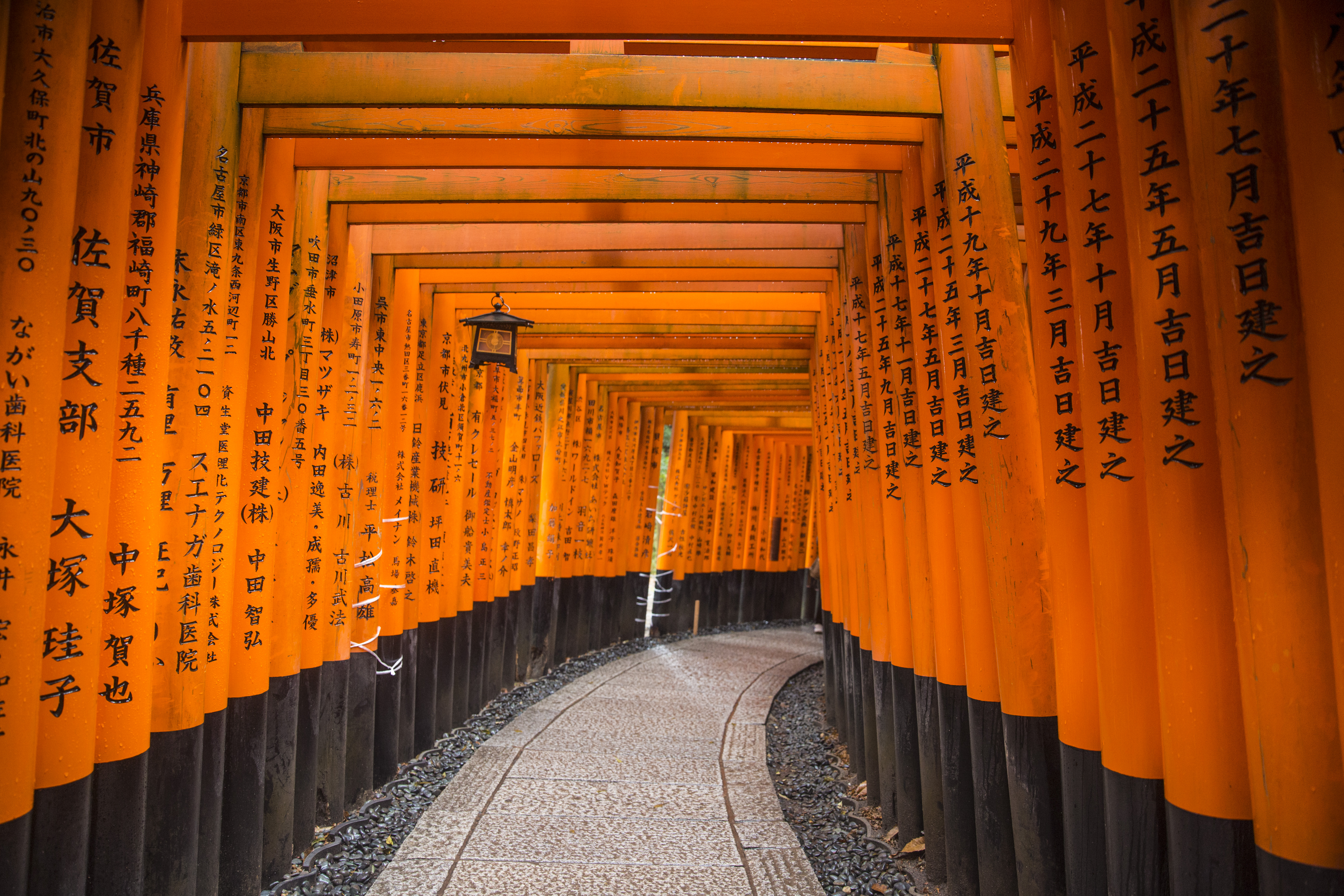 DISCOVER JAPAN