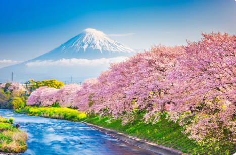 Save on Japan tours